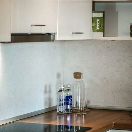 New Very Close To The Centre * Vilnius