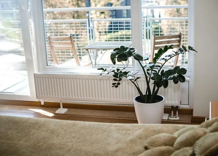 New Very Close To The Centre Daire